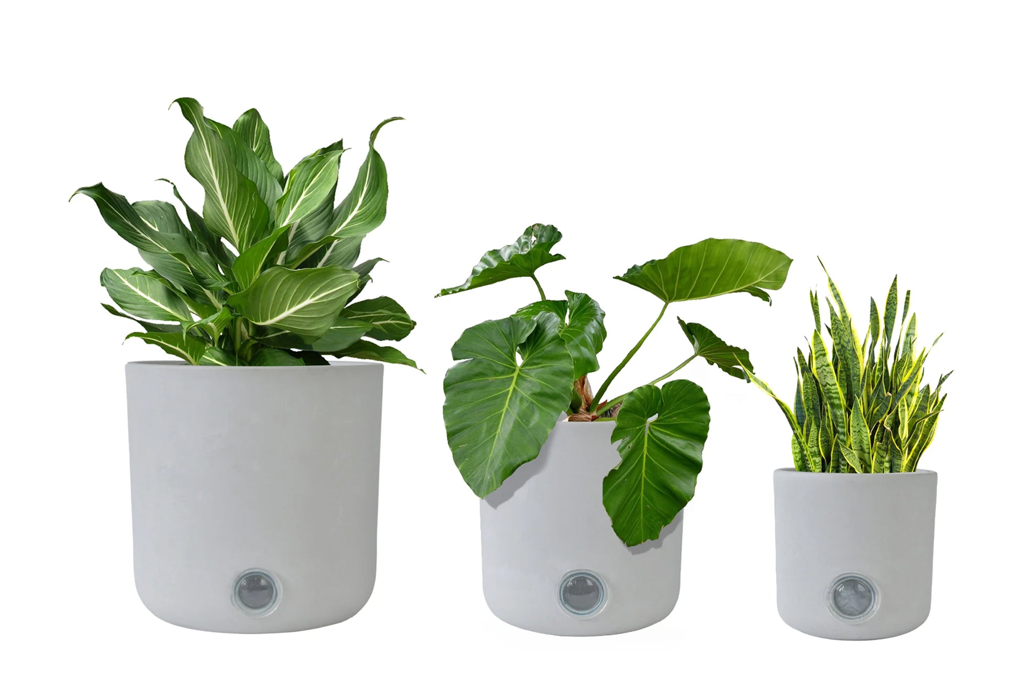 3 Pack Self-Watering Pots For Indoor Plants