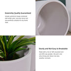 3 Pack Self-Watering Pots For Indoor Plants