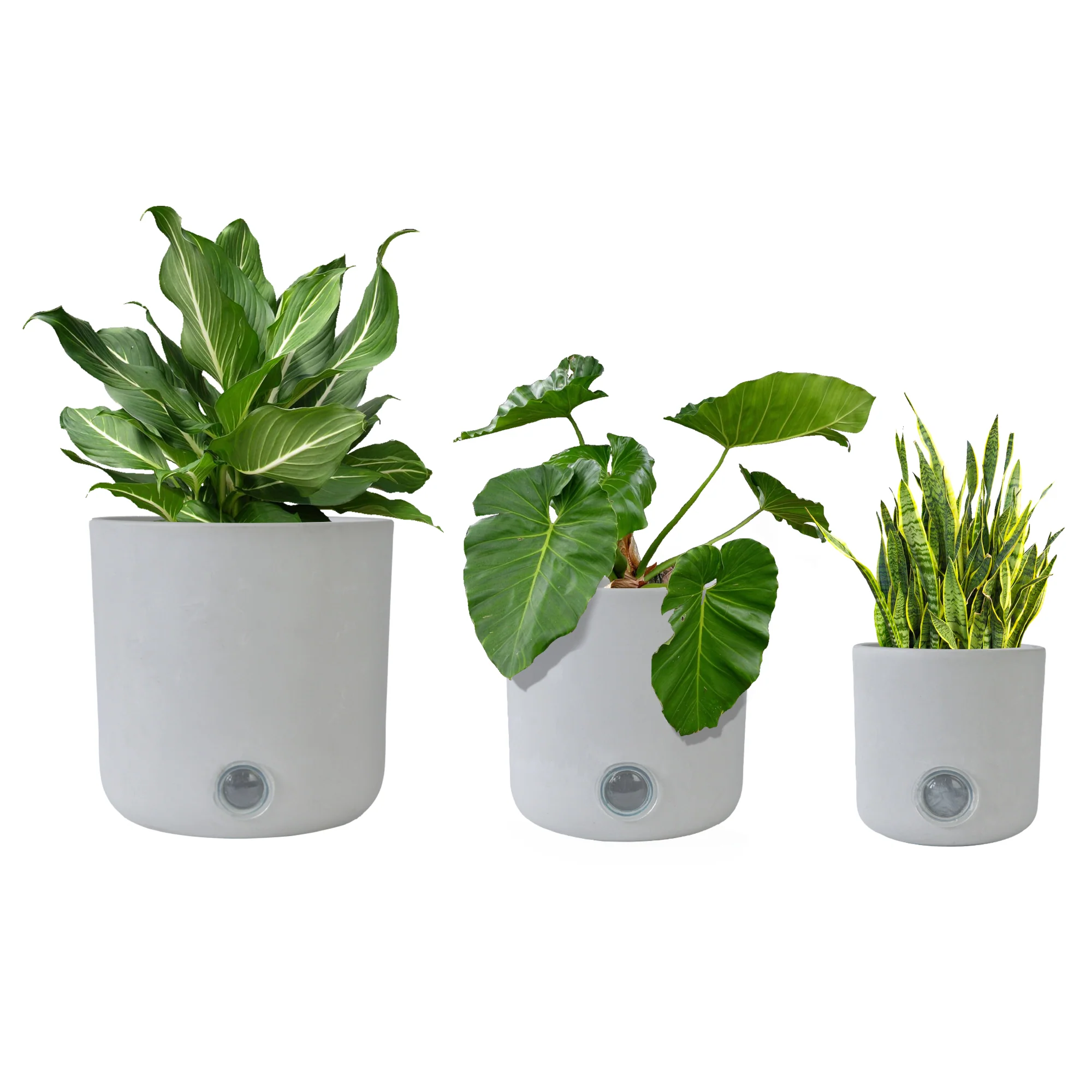 3 Pack Self-Watering Pots For Indoor Plants