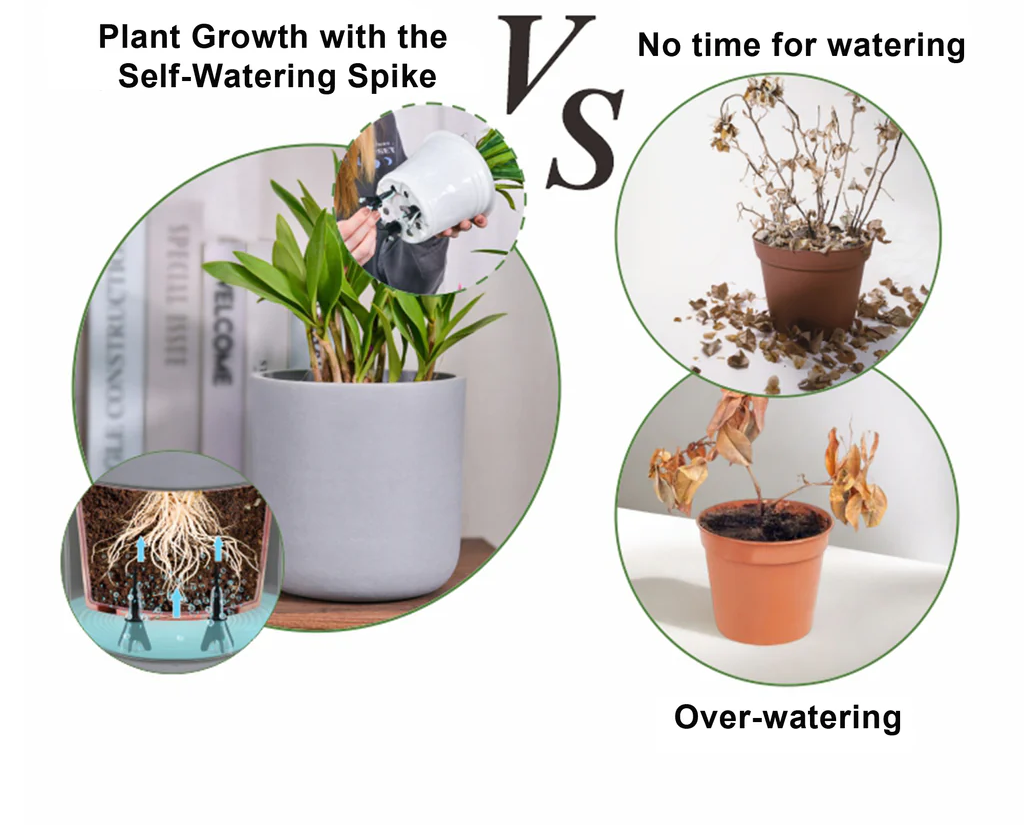 Self-Watering Spikes 8pcs